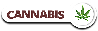 cannabis